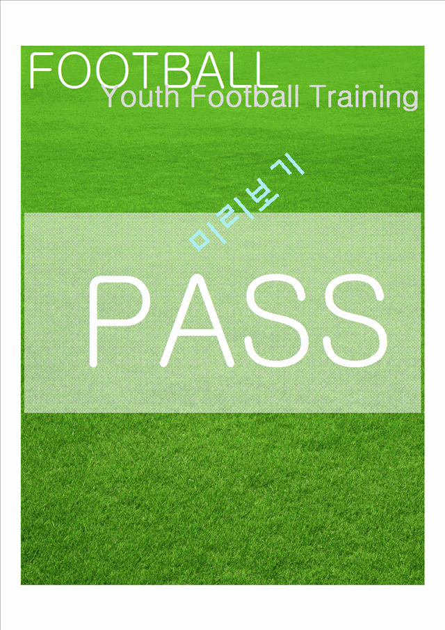 실전 유소년 축구 트레이닝 프로그램 (PASS)   (1 )